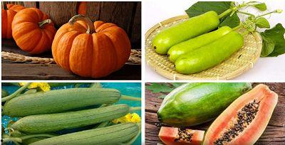 今日立秋吃瓜了吗视频,跟随视频一起品尝夏日余韵